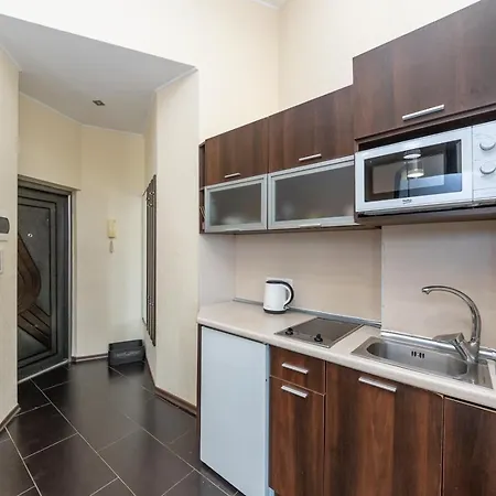 Comfortable Apartment On Mikhaylovskiy Lane Kyiv Exterior photo